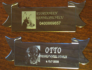 Plaques